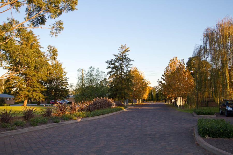Potters Apartments Cessnock Exterior photo