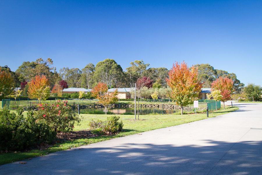 Potters Apartments Cessnock Exterior photo